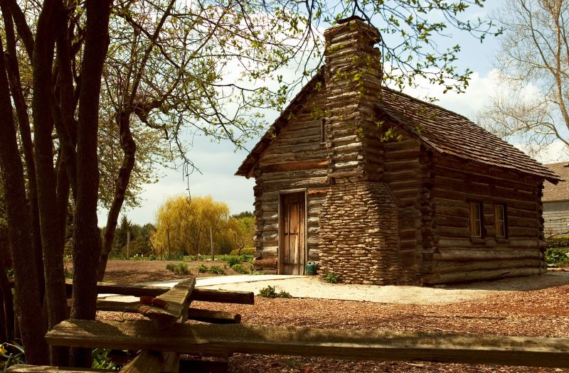 Log Home Staining detail