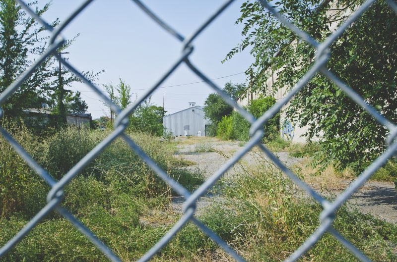 Wire Fence Painting detail